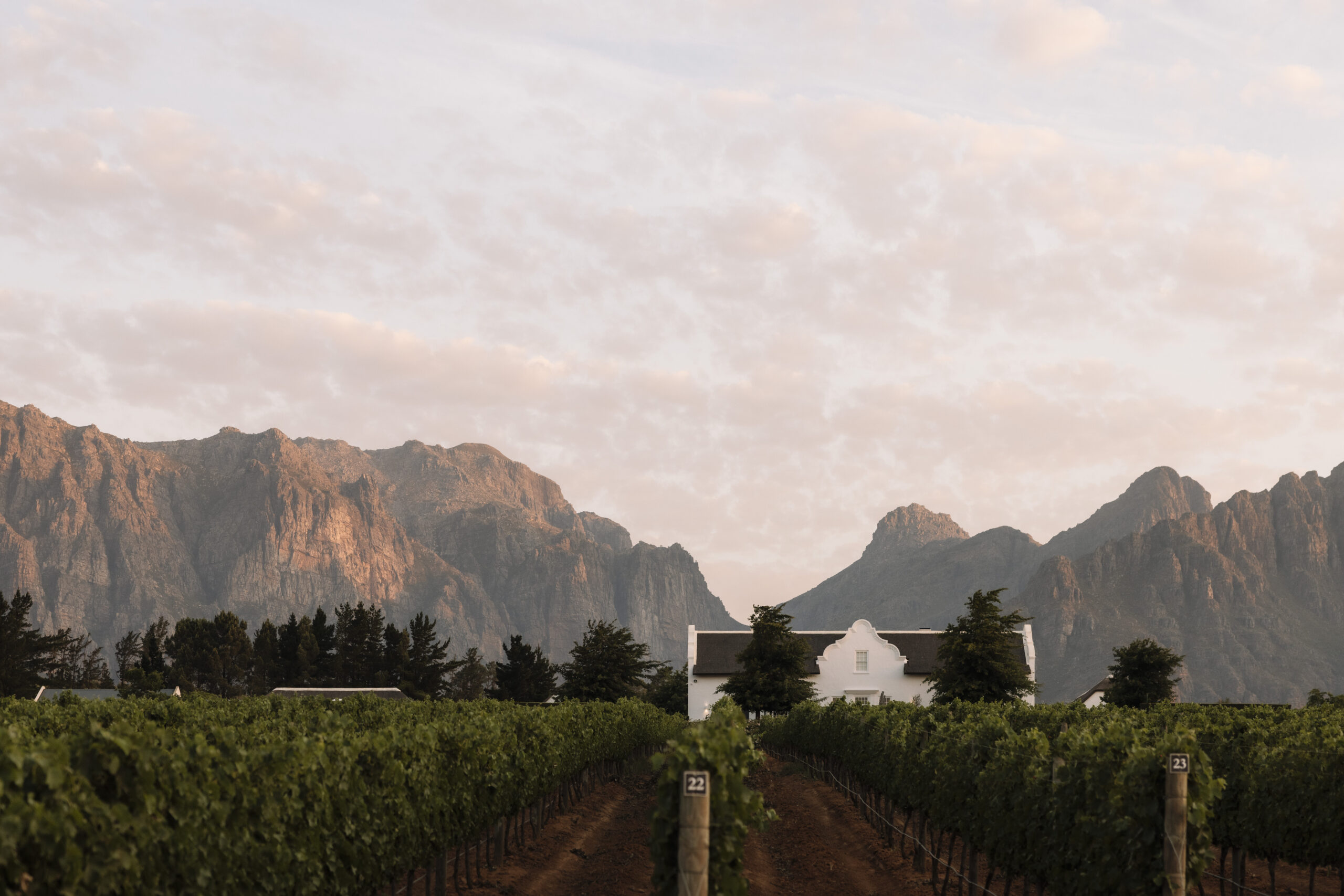 The Top Luxury Wedding Venues in the Cape Winelands